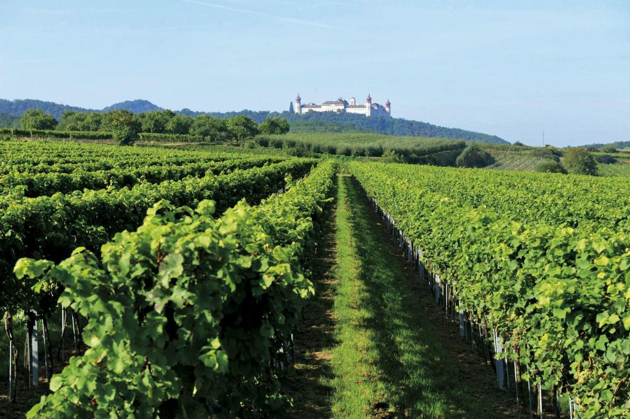 Rohrendorf bei Krems Landhaus Weinblick酒店 外观 照片