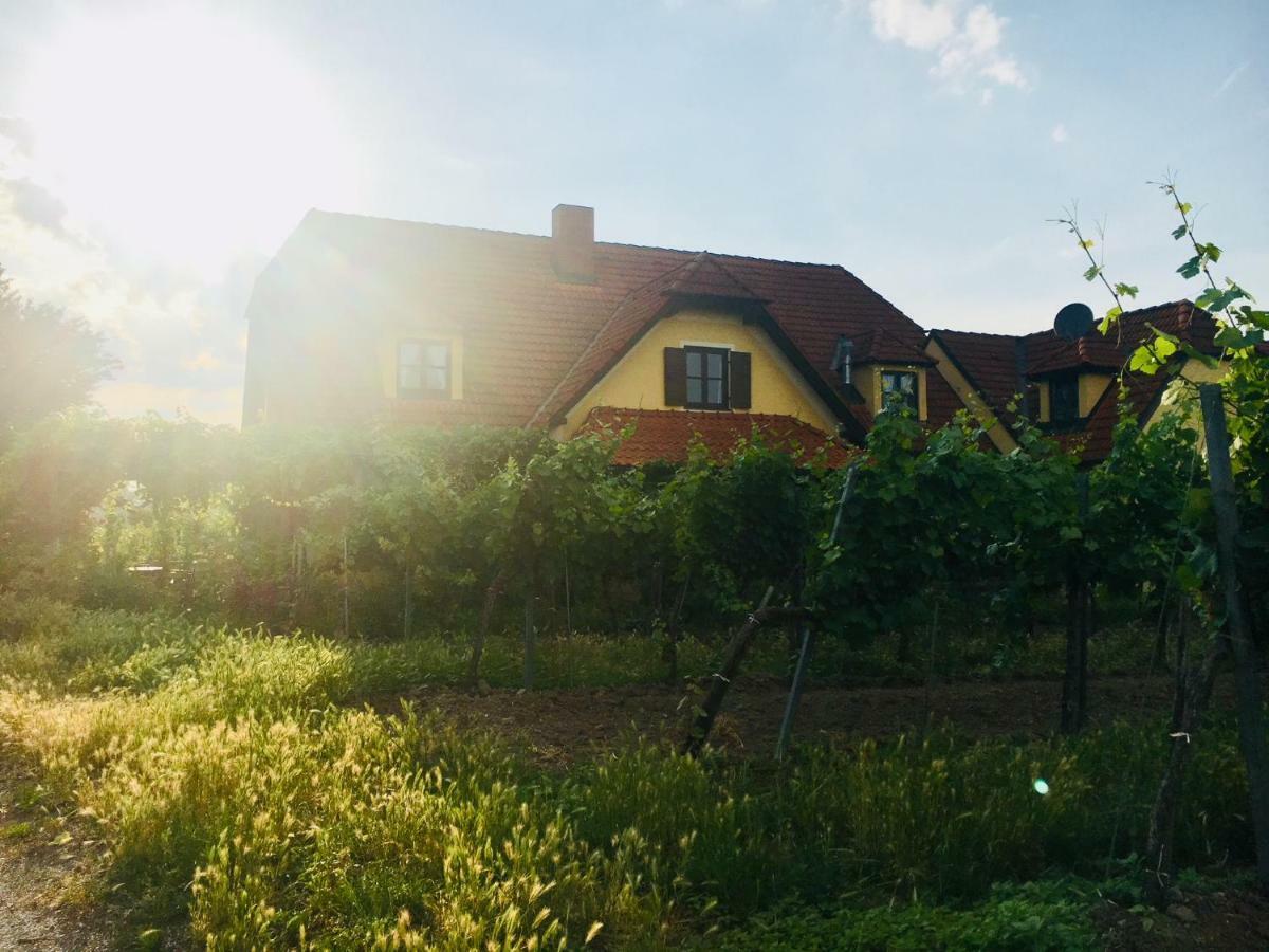 Landhaus Weinblick Rohrendorf bei Krems 外观 照片