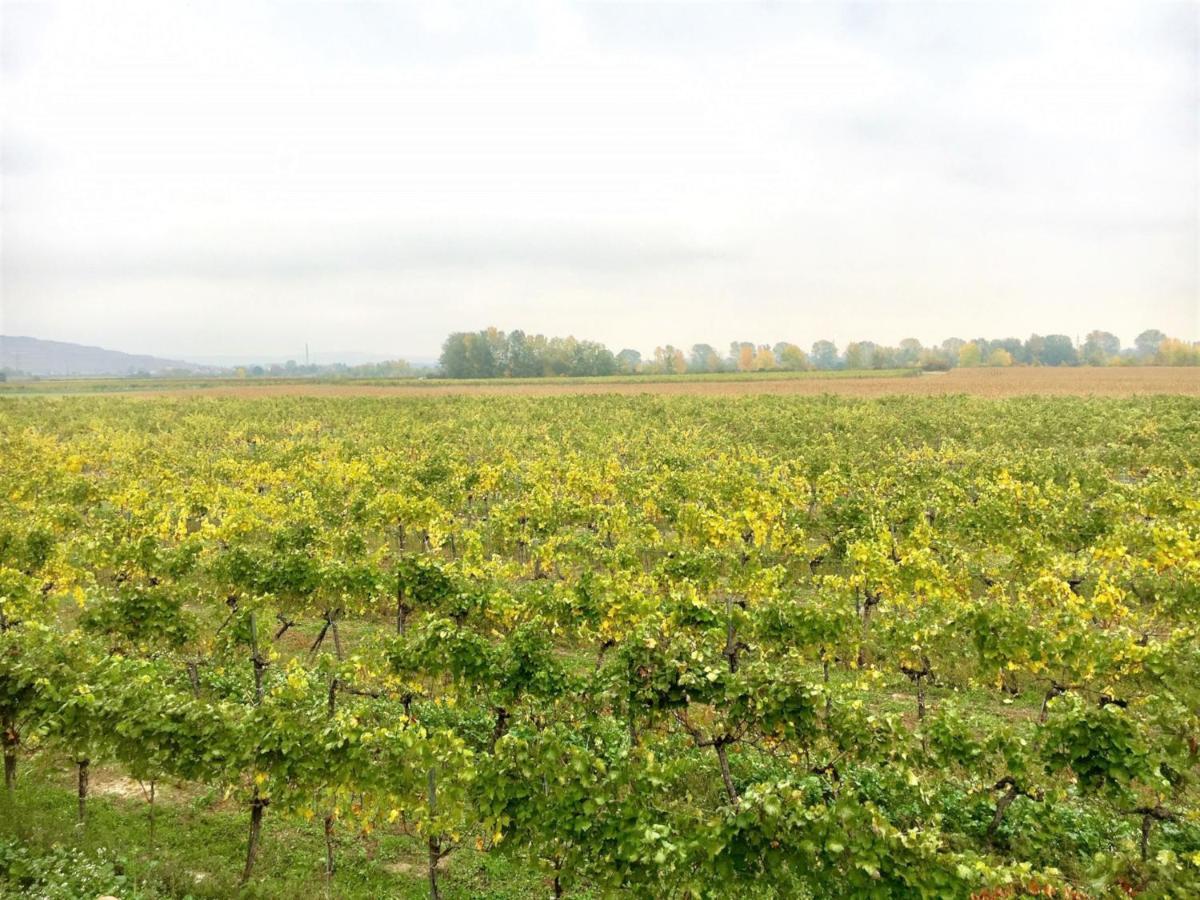 Landhaus Weinblick Rohrendorf bei Krems 外观 照片